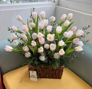 Hoa Bó Tulip White Ther 18
