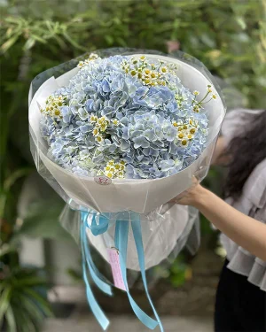 Bó Hoa Cẩm Tú Cầu Mix Cúc Tana - Sắc Xanh Hy Vọng & Bình Yên